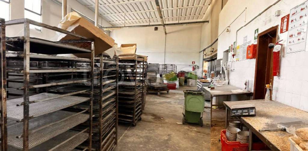 immagine annuncio 1 di 12