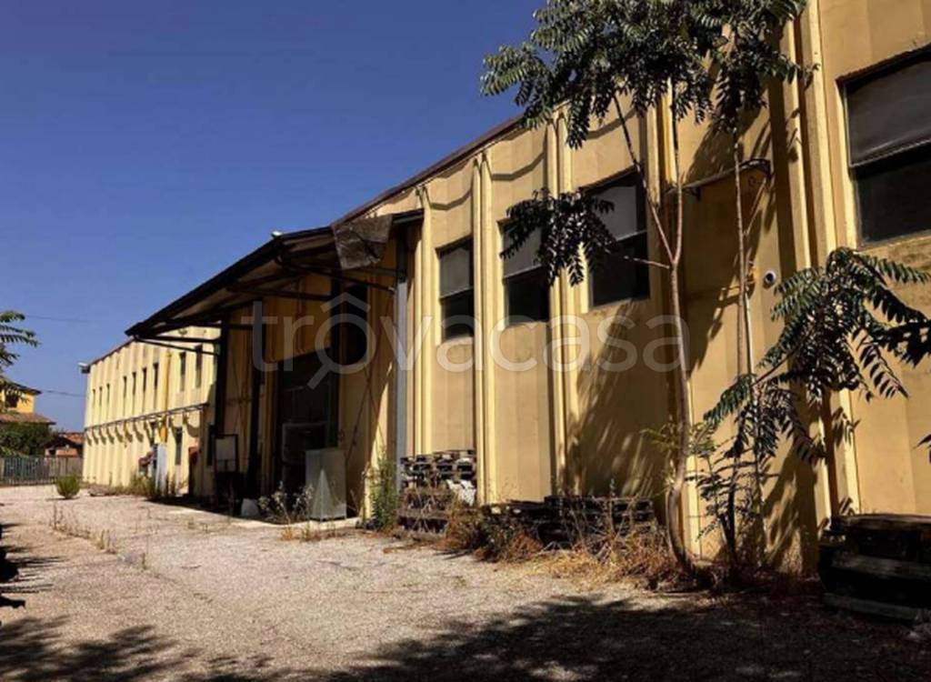 immagine annuncio 5 di 12