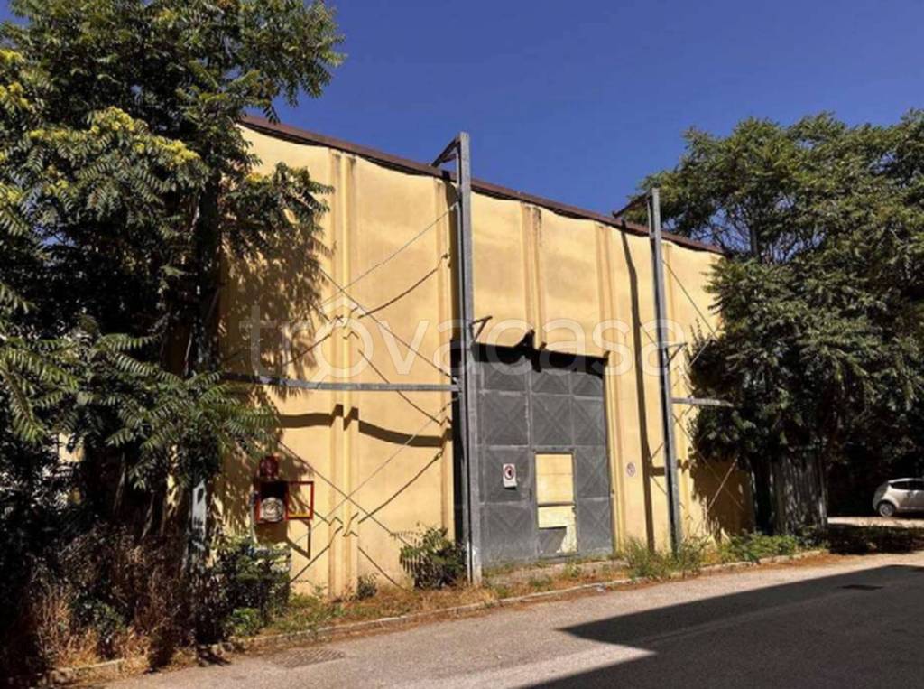 immagine annuncio 6 di 12