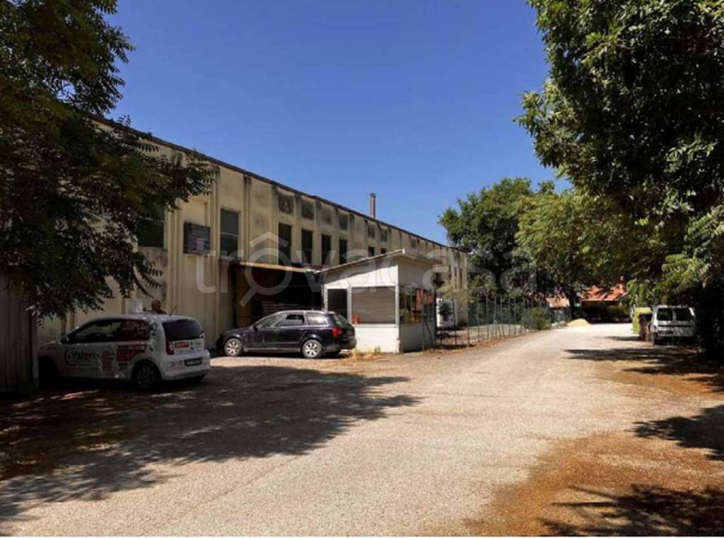 immagine annuncio 7 di 12