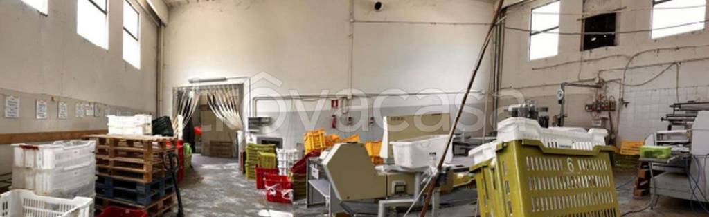 immagine annuncio 9 di 12