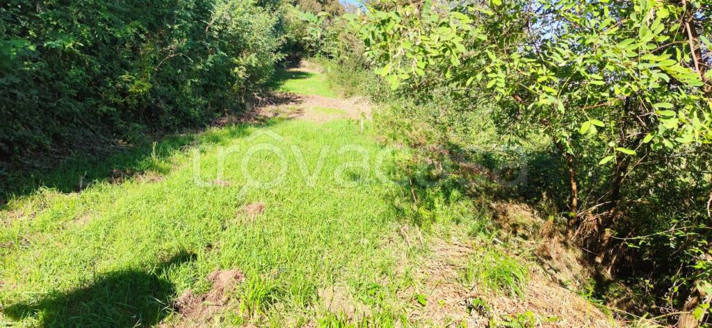 immagine annuncio 6 di 9