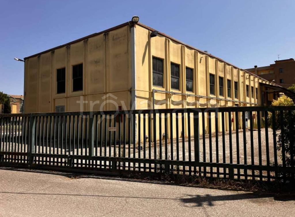 immagine annuncio 11 di 12