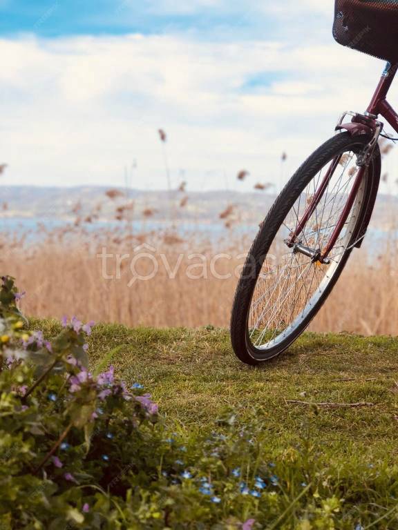 immagine annuncio 6 di 12