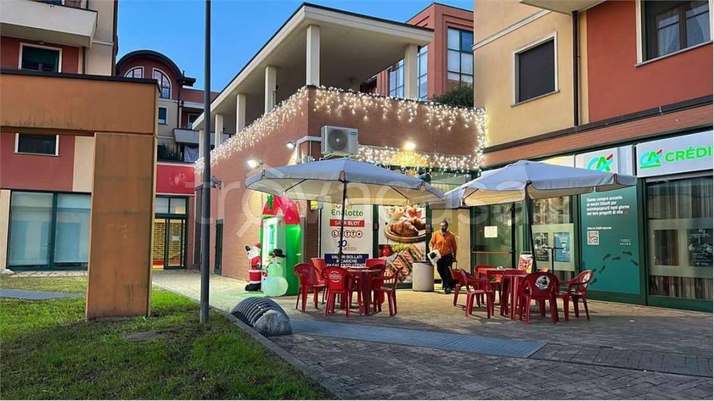 immagine annuncio 10 di 11