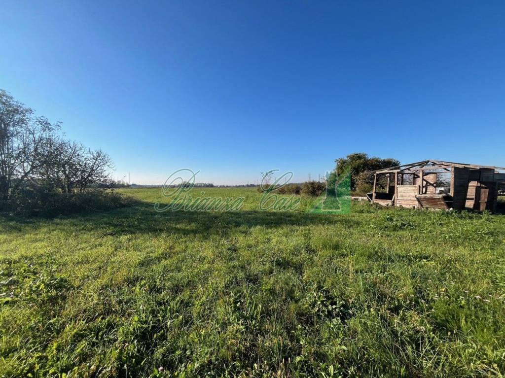 immagine annuncio 2 di 4