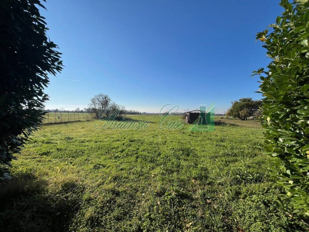 immagine annuncio 3 di 4