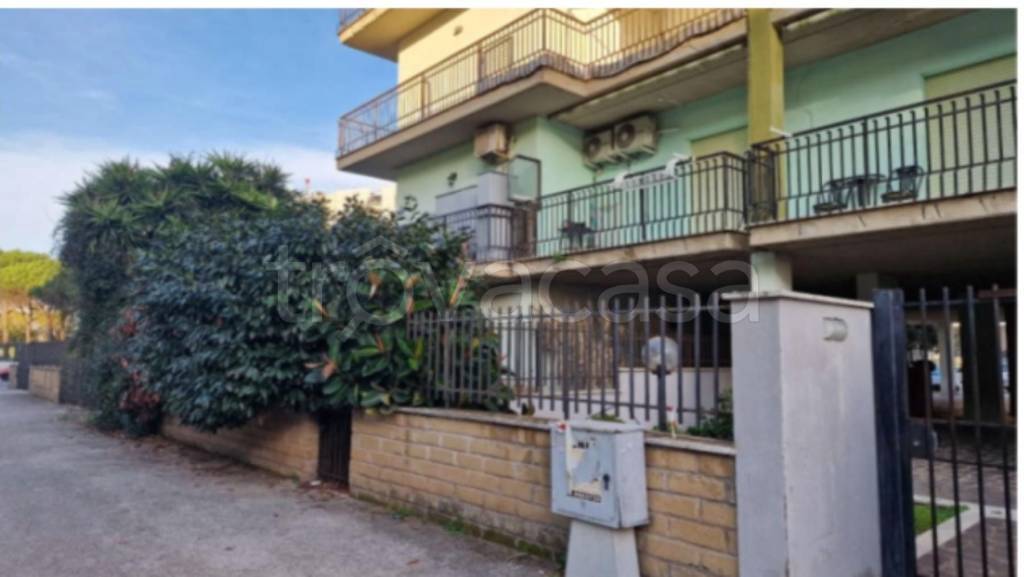 immagine annuncio 6 di 11