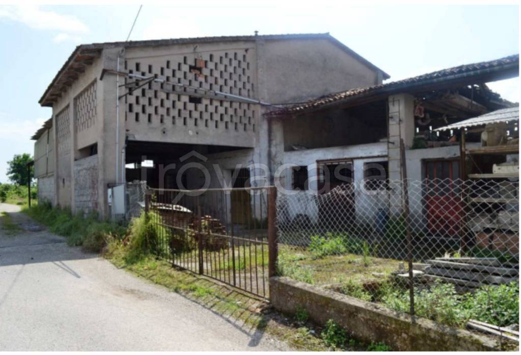 immagine annuncio 8 di 14