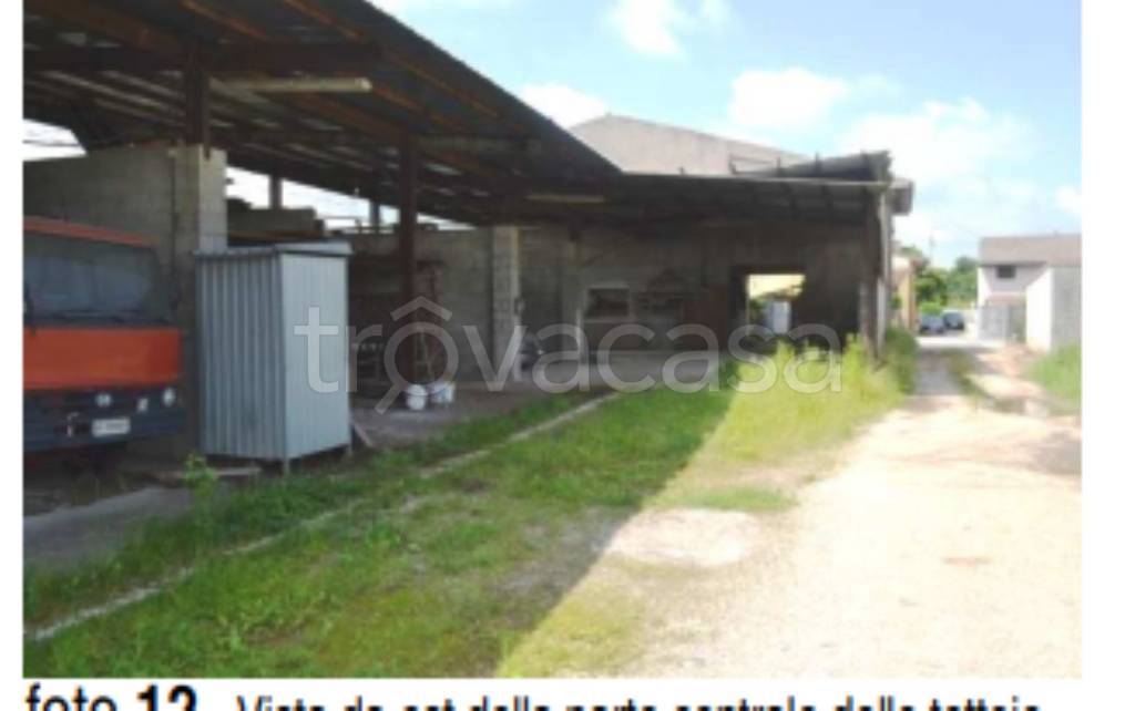 immagine annuncio 11 di 14