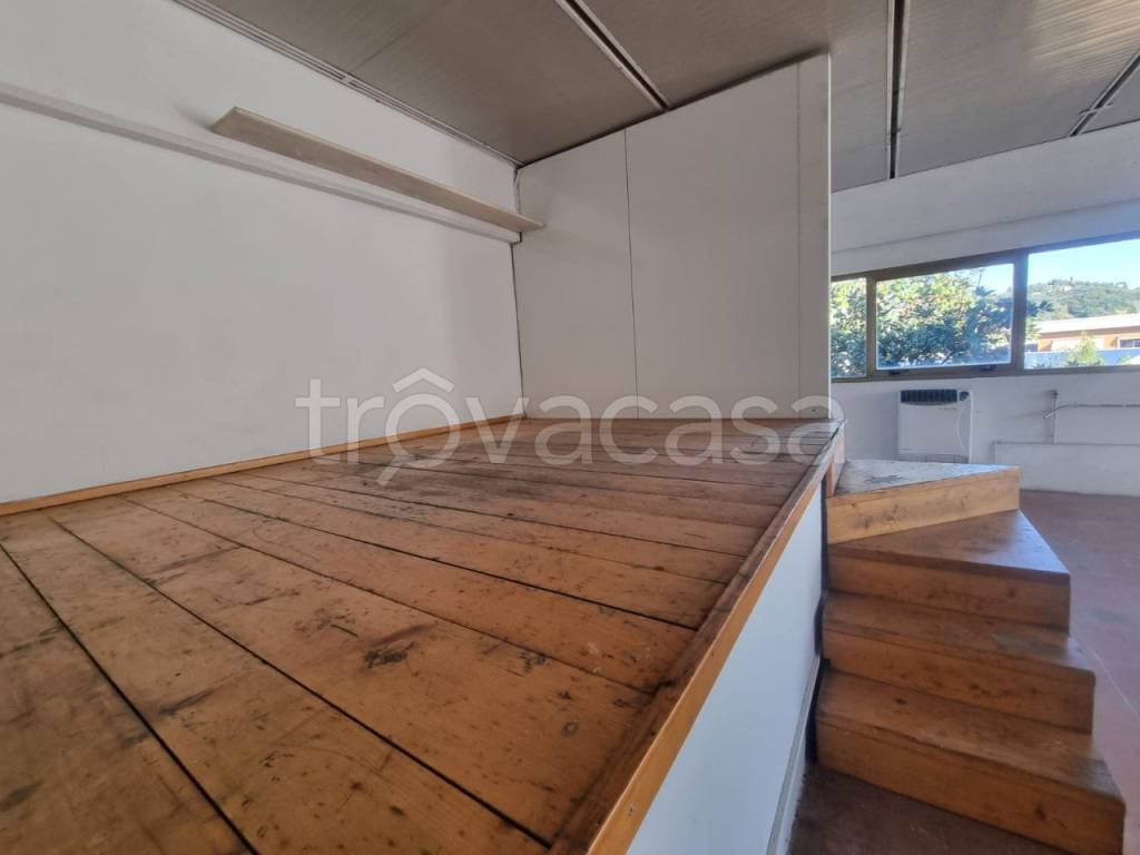 immagine annuncio 4 di 8