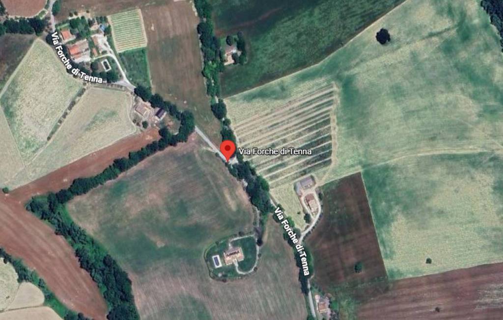 immagine annuncio 1 di 11