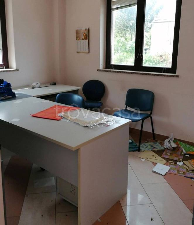 immagine annuncio 5 di 12