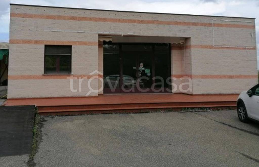 immagine annuncio 7 di 12