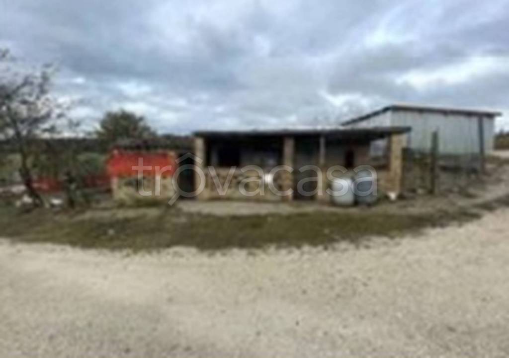 immagine annuncio 5 di 11