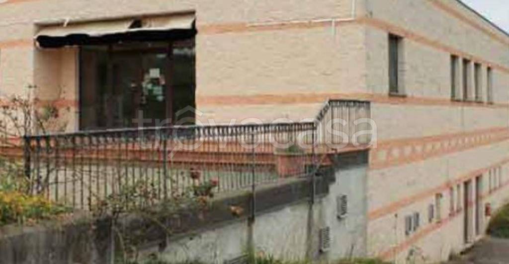 immagine annuncio 9 di 12