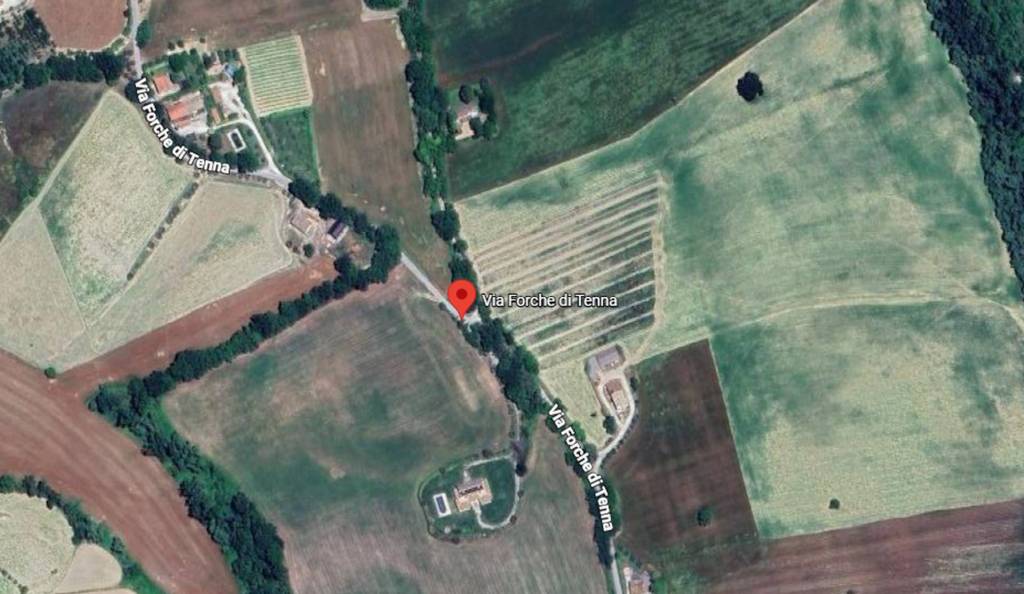 immagine annuncio 9 di 11