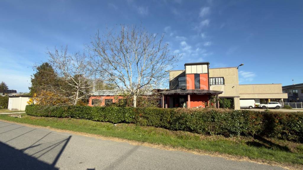 immagine annuncio 3 di 9