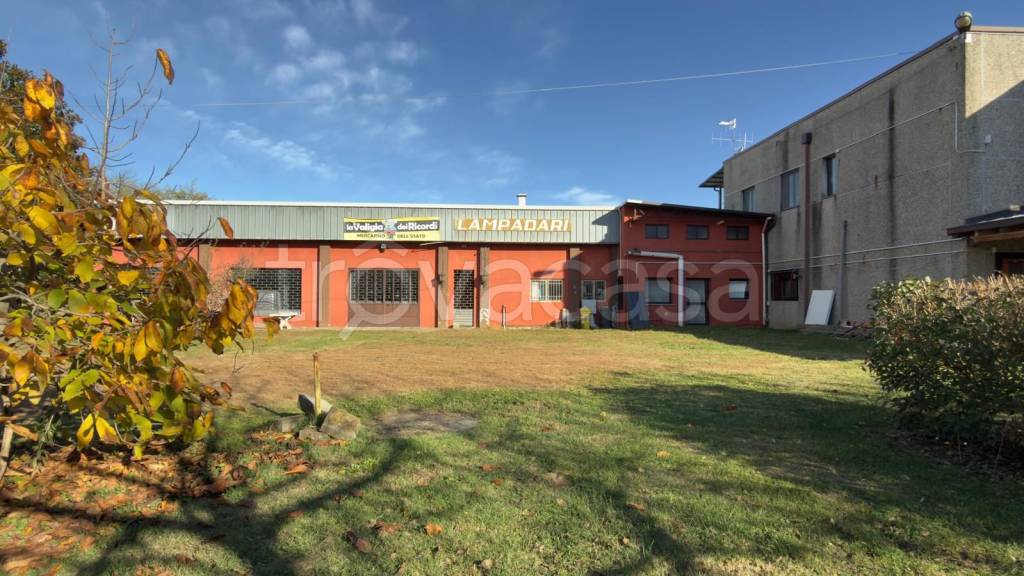 immagine annuncio 4 di 9