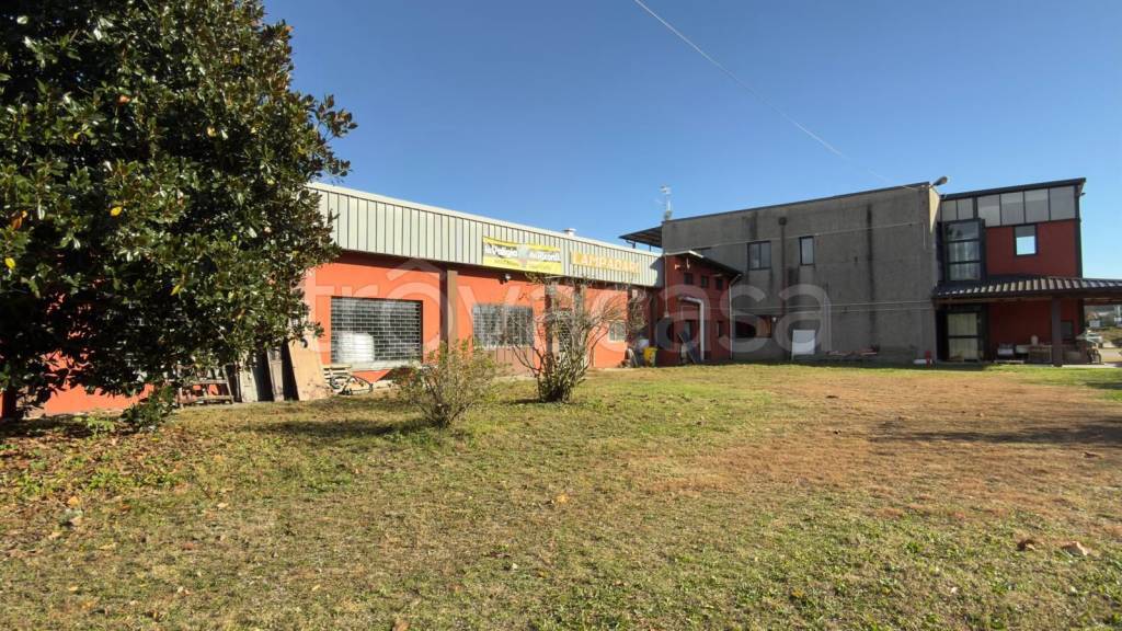 immagine annuncio 5 di 9