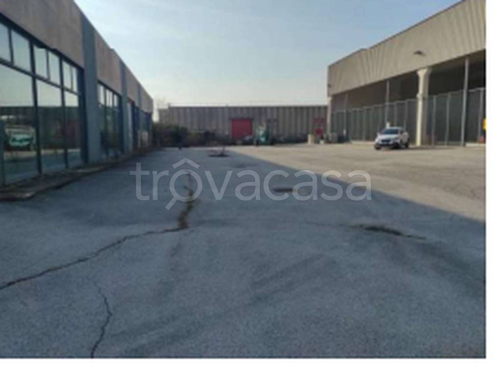 immagine annuncio 6 di 11