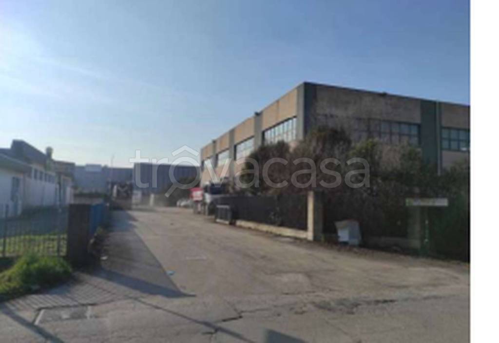 immagine annuncio 7 di 11