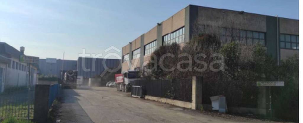 immagine annuncio 8 di 11