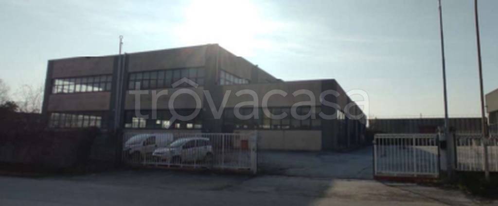 immagine annuncio 10 di 11