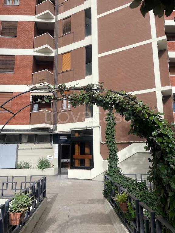 immagine annuncio 4 di 14