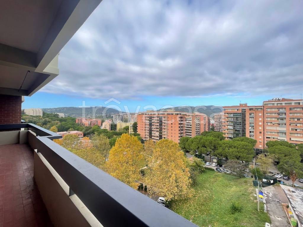 immagine annuncio 9 di 14