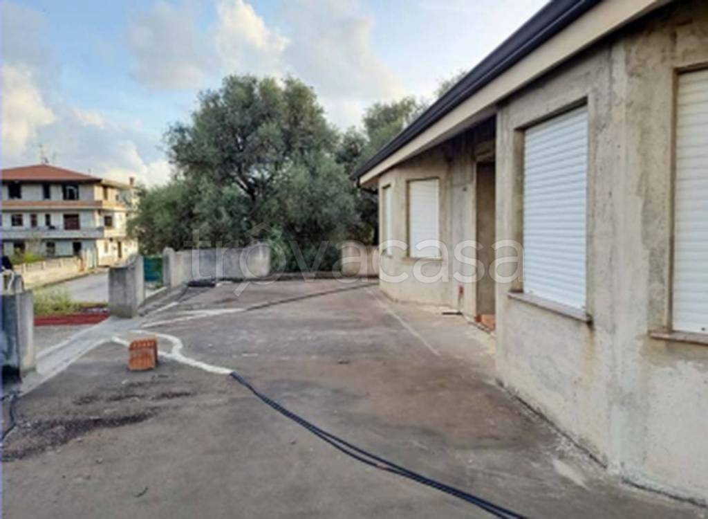 immagine annuncio 5 di 11