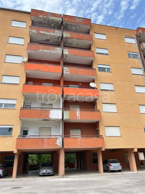 immagine annuncio 1 di 13