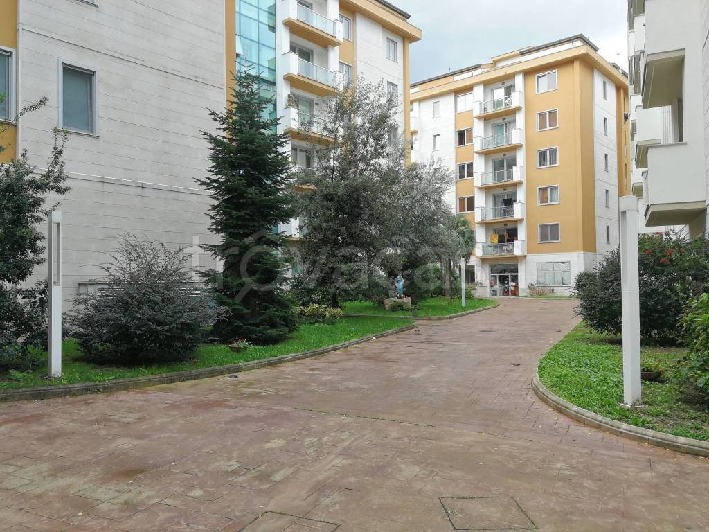 immagine annuncio 11 di 12