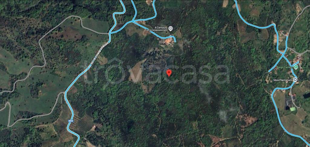 immagine annuncio 10 di 12