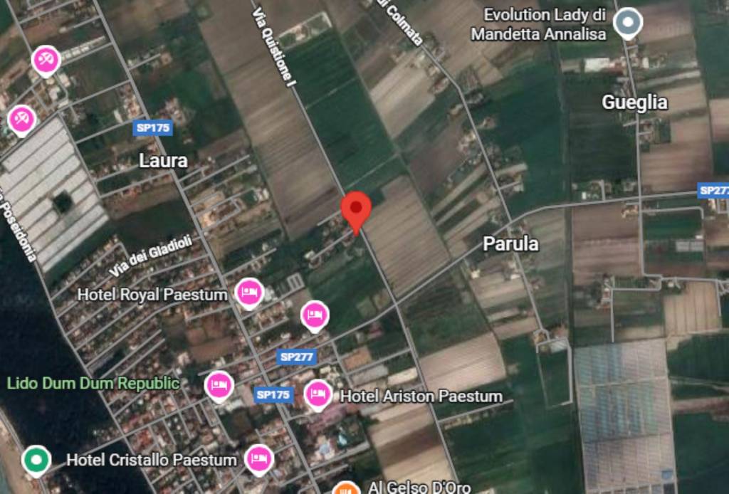 immagine annuncio 10 di 15