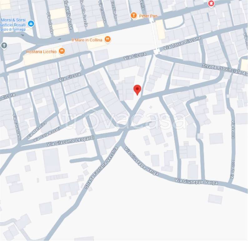 immagine annuncio 12 di 13