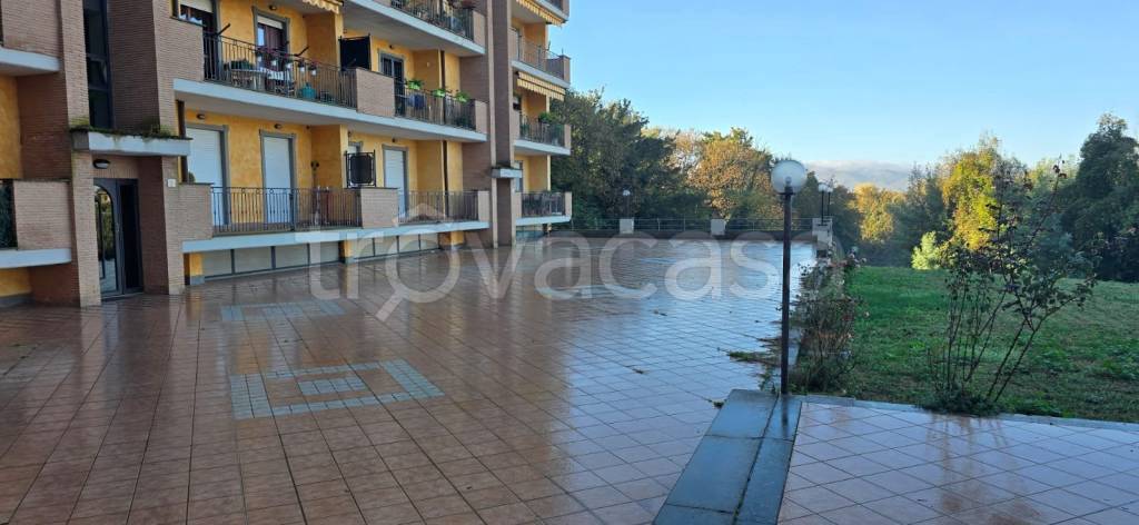 immagine annuncio 3 di 13