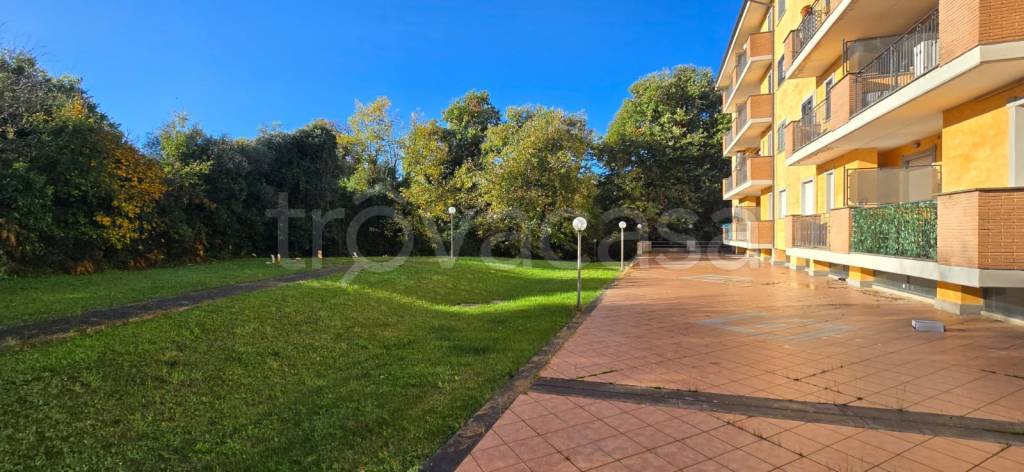 immagine annuncio 4 di 13