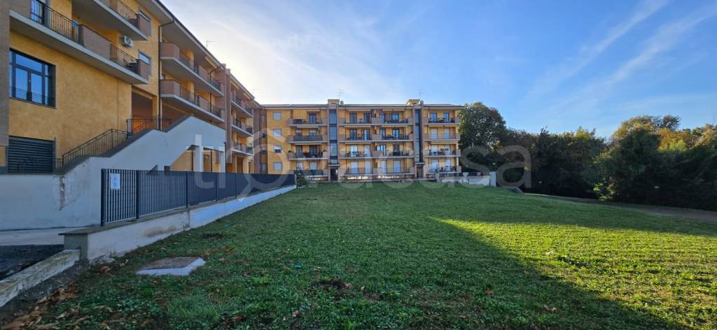 immagine annuncio 9 di 13