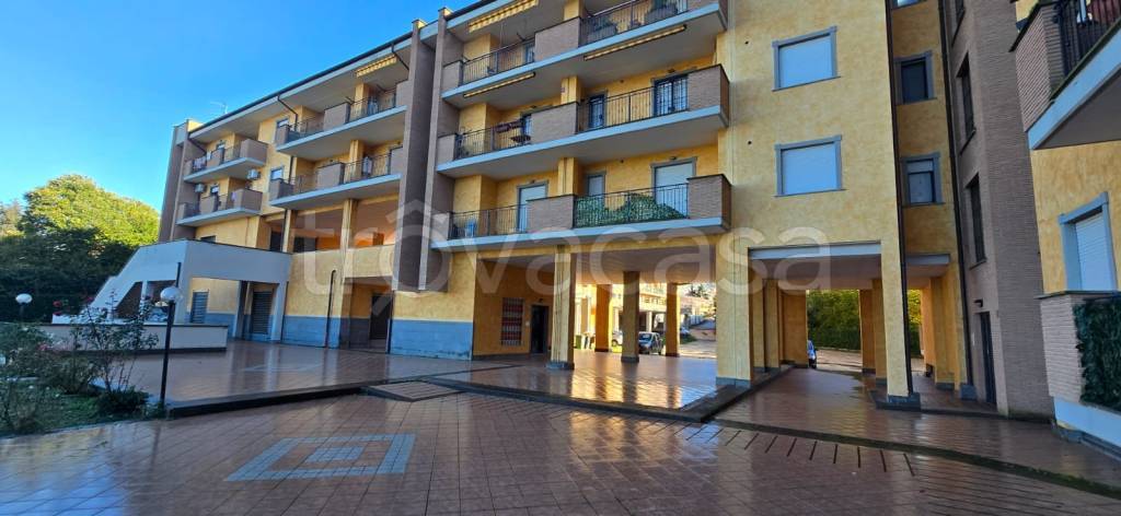 immagine annuncio 2 di 13