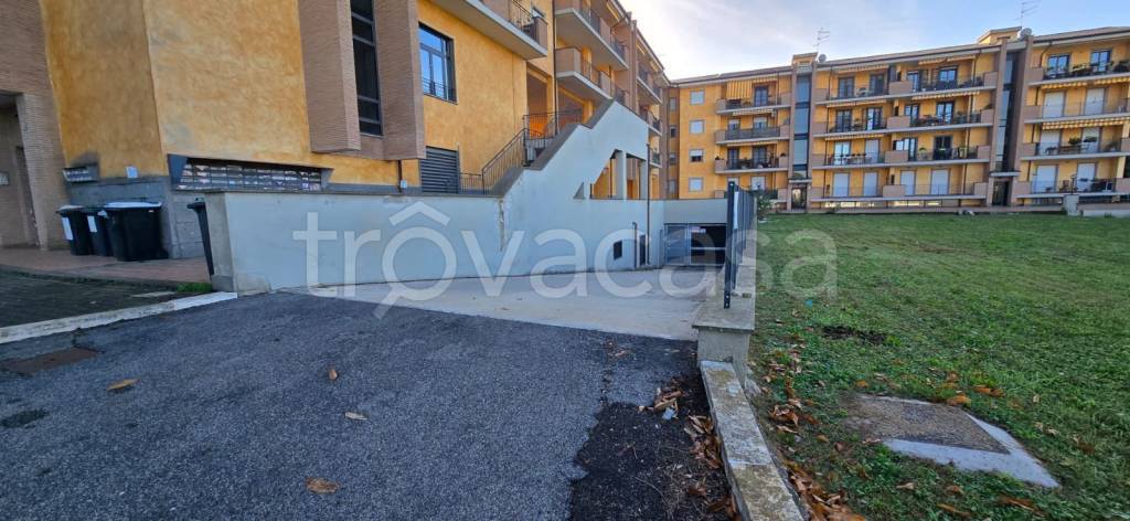 immagine annuncio 12 di 13