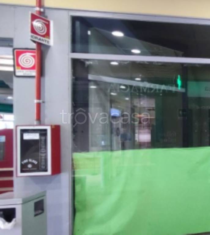 immagine annuncio 2 di 11