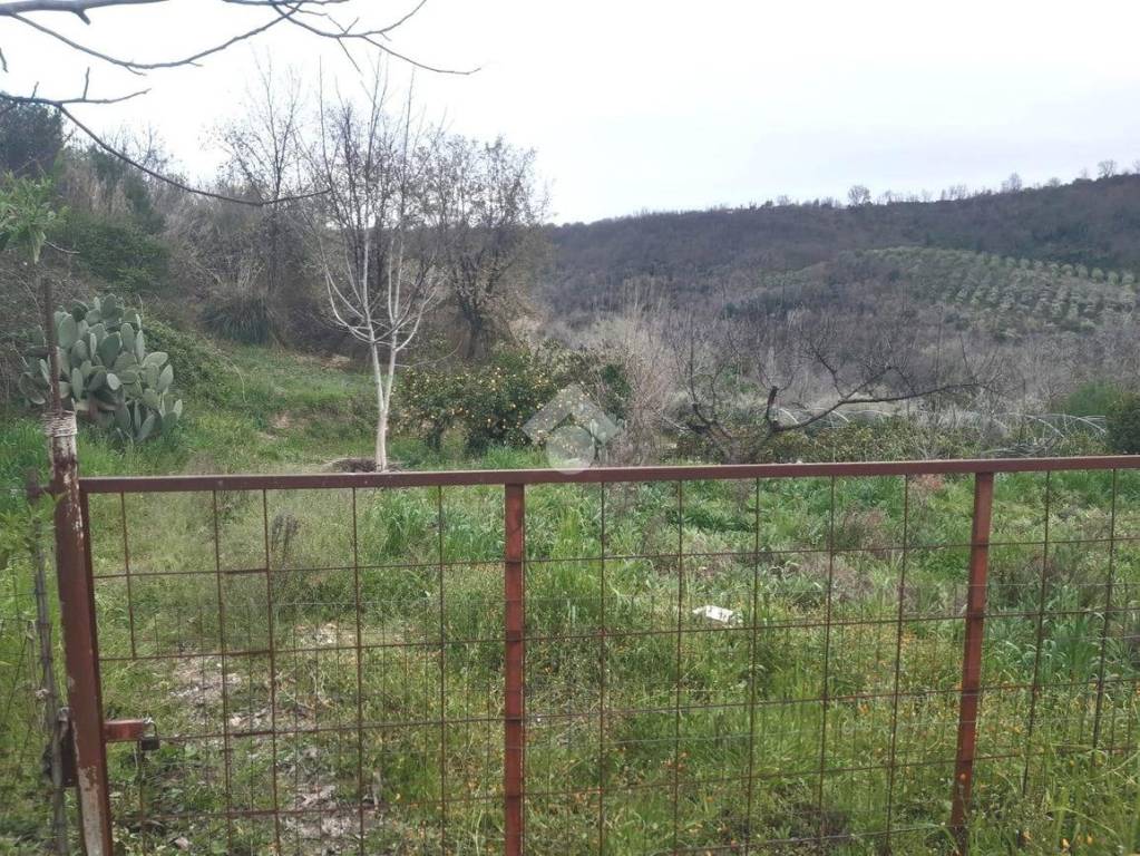 immagine annuncio 5 di 11