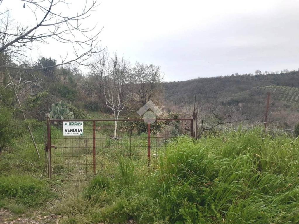 immagine annuncio 6 di 11