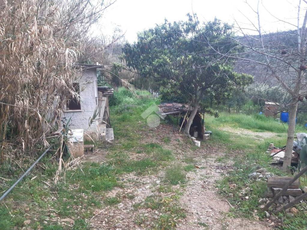 immagine annuncio 7 di 11