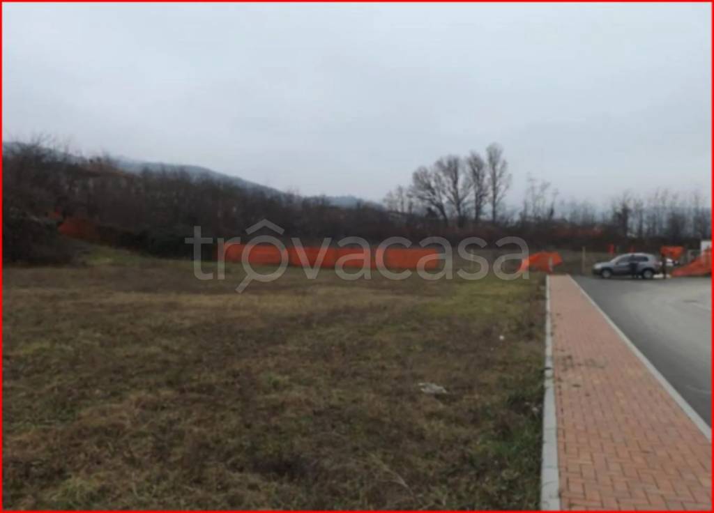 immagine annuncio 2 di 12