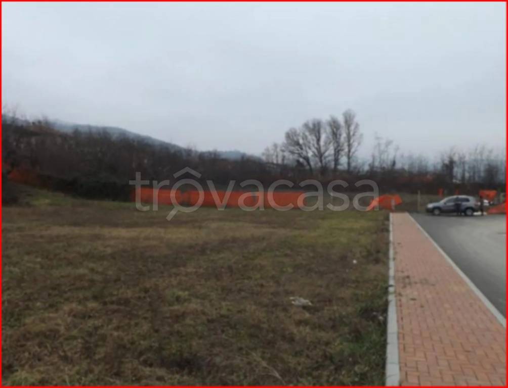 immagine annuncio 3 di 12