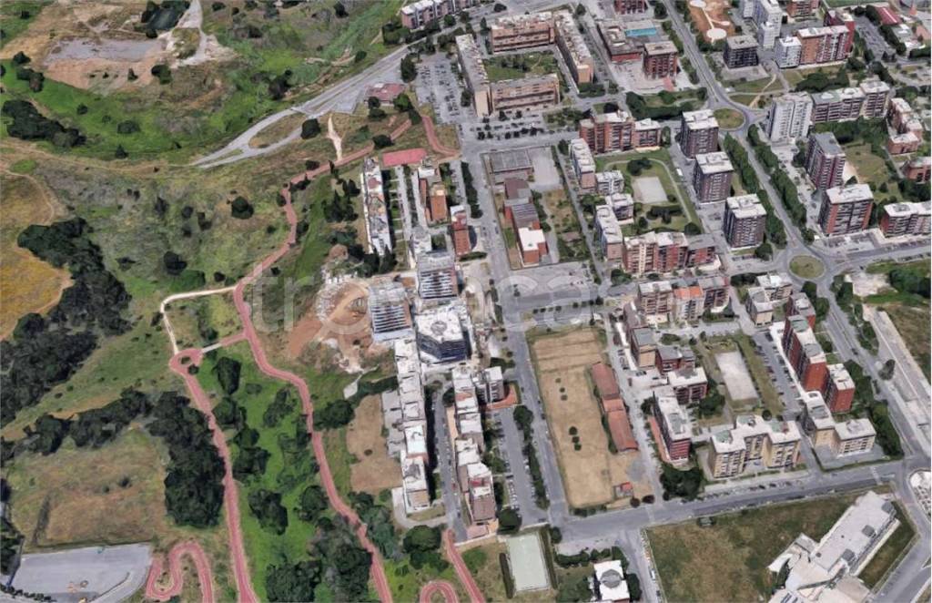 immagine annuncio 6 di 11