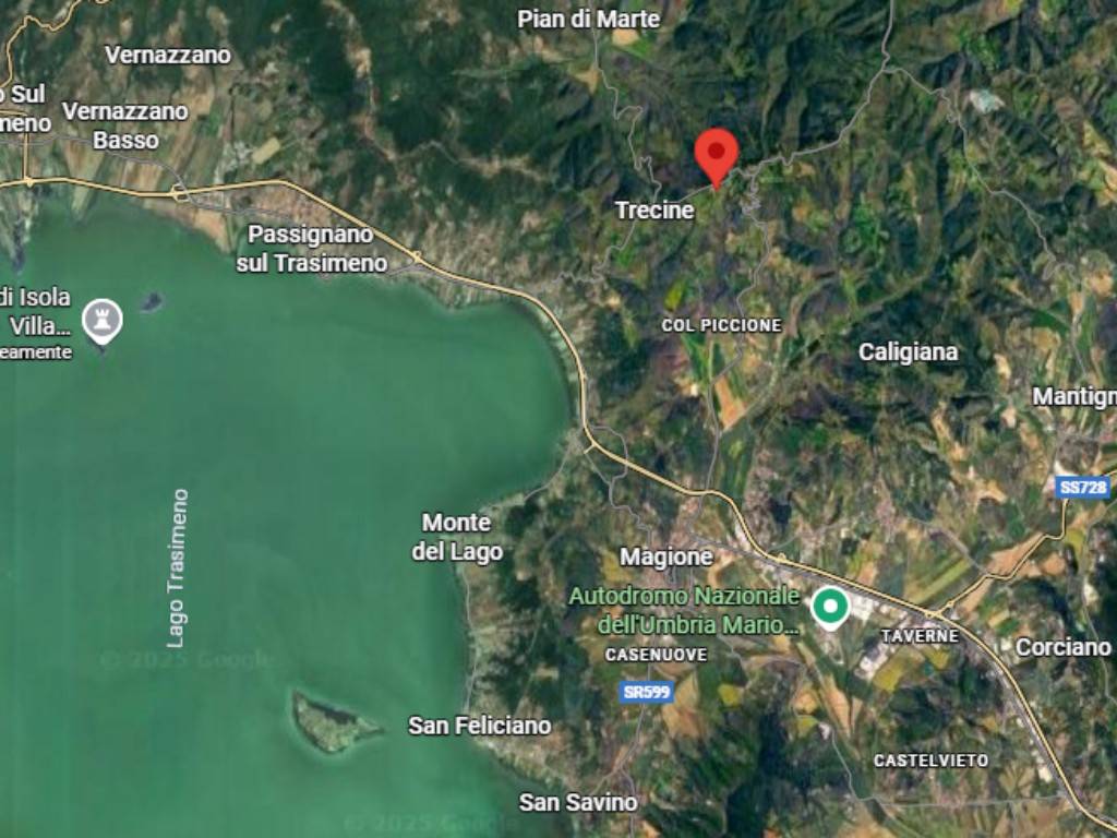 immagine annuncio 10 di 12