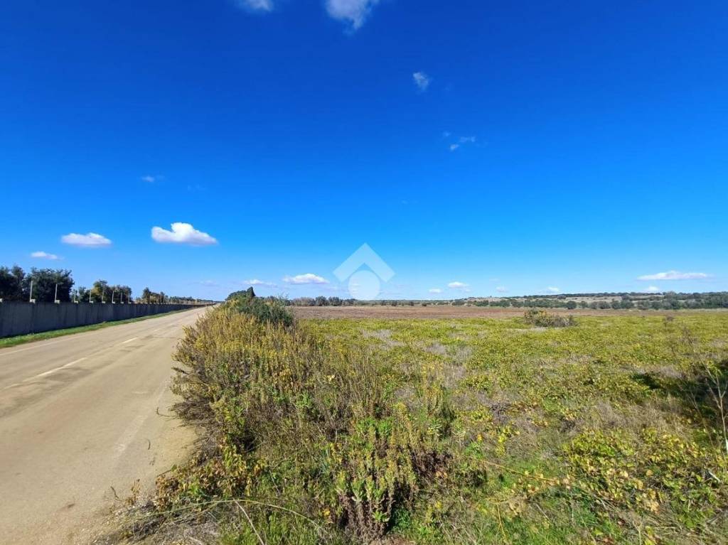 immagine annuncio 2 di 9